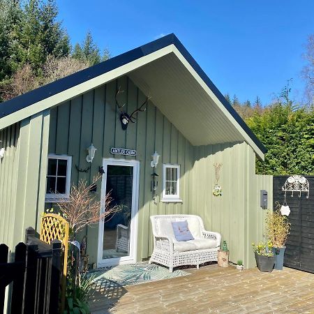 Antler Cabin At Woodlea سبين بريدج المظهر الخارجي الصورة